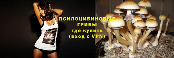 трава Михайловск