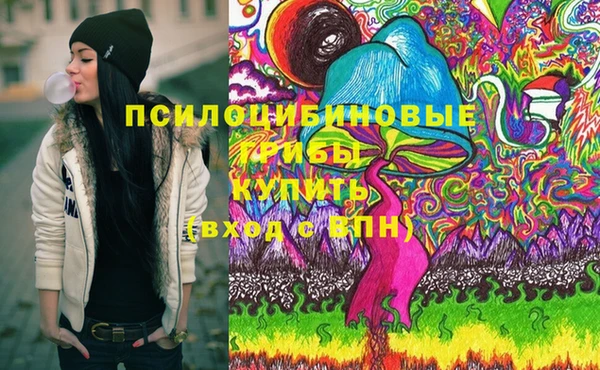 гашик Михайловка