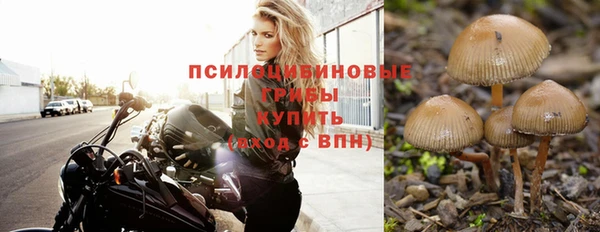 мескалин Михайлов