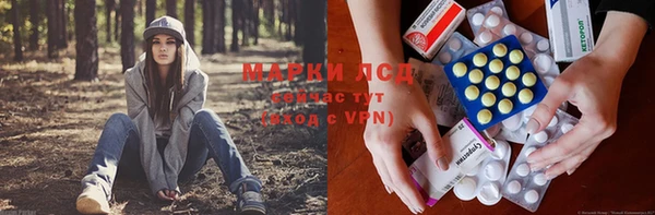 трава Михайловск