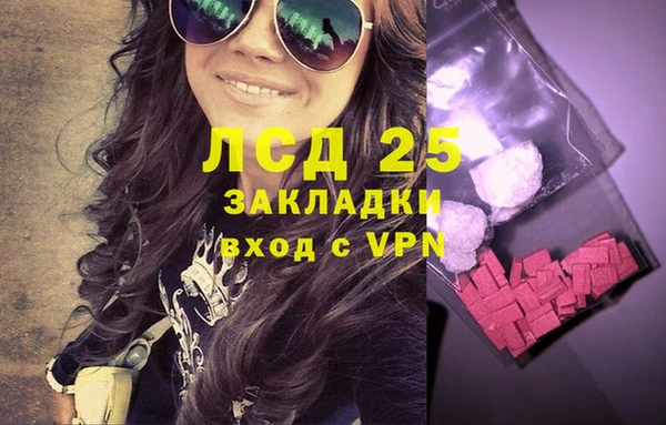 гашик Михайловка