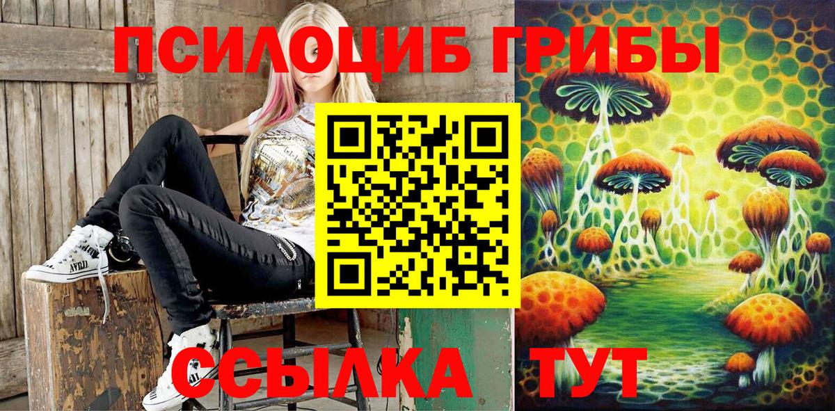 Красноармейск  Галлюциногенные грибы мицелий  Псилоцибиновые грибы Cubensis  Вход с VPN 
