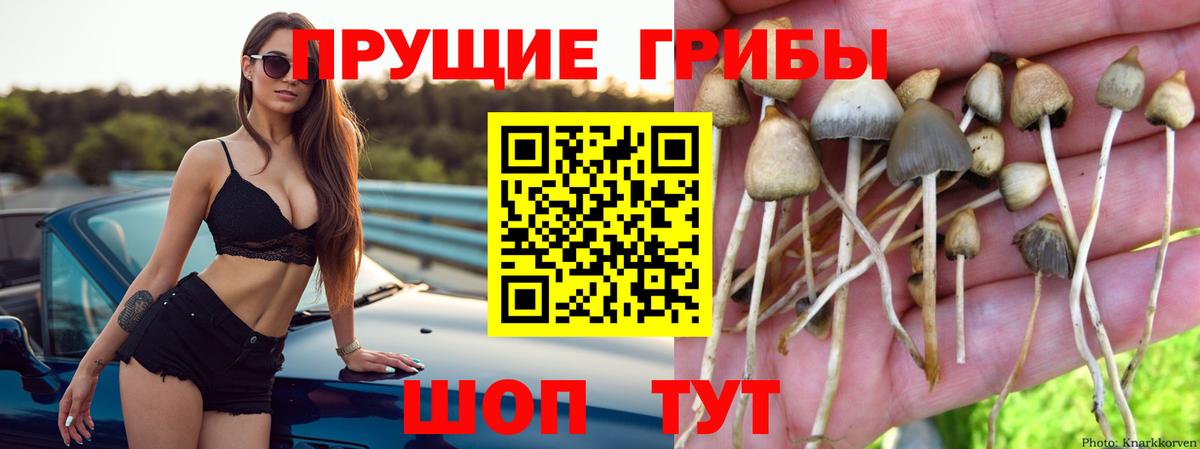 Псилоцибиновые грибы прущие грибы Красноармейск